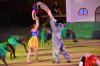 TG-Gala_28