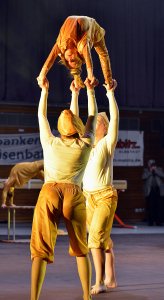 tg gala-130
