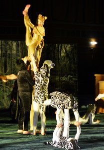 tg gala-68