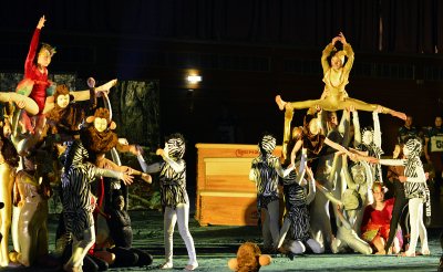 tg gala-71
